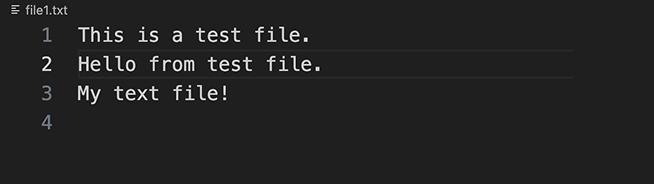 Appended File Contents with Newline